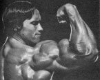Biceps